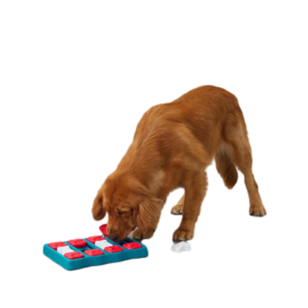 Nina Ottosson Dog Brick Puzzle Blue for Dog Enrichment