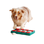 Nina Ottosson Dog Brick Puzzle Blue for Dog Enrichment
