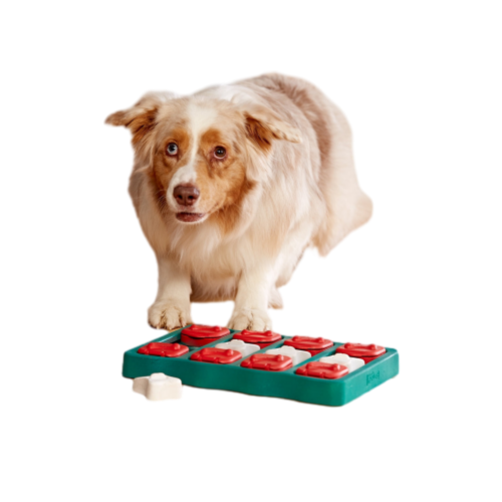 Nina Ottosson Dog Brick Puzzle Blue for Dog Enrichment