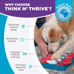 Nina Ottosson Dog Brick Puzzle Blue for Dog Enrichment