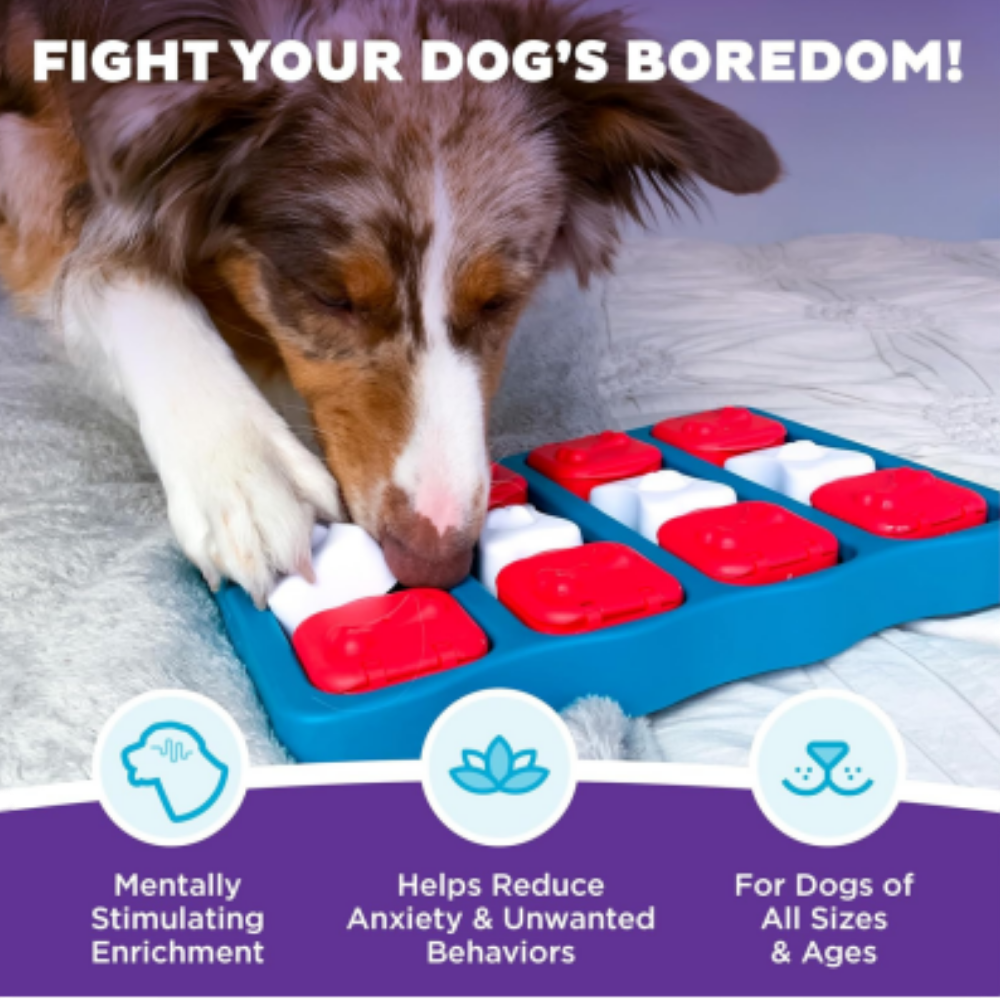 Nina Ottosson Dog Brick Puzzle Blue for Dog Enrichment