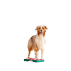 Nina Ottosson Dog Brick Puzzle Blue for Dog Enrichment