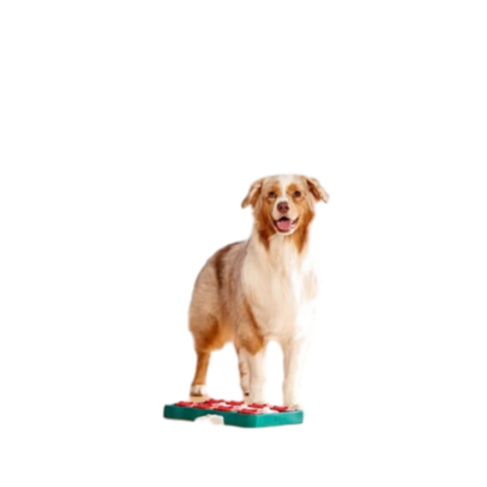 Nina Ottosson Dog Brick Puzzle Blue for Dog Enrichment
