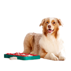 Nina Ottosson Dog Brick Puzzle Blue for Dog Enrichment