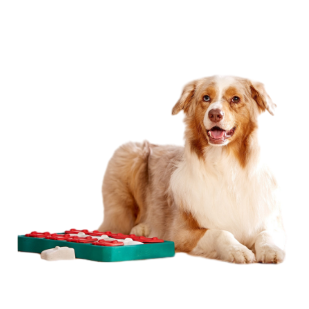 Nina Ottosson Dog Brick Puzzle Blue for Dog Enrichment