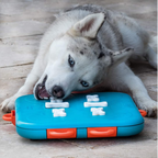 Nina Ottosson Dog Casino for Dogs