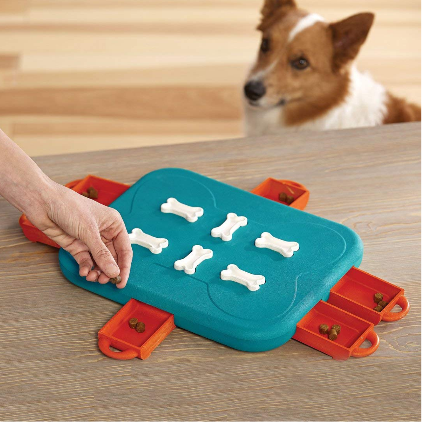 Nina Ottosson Dog Casino for Dogs