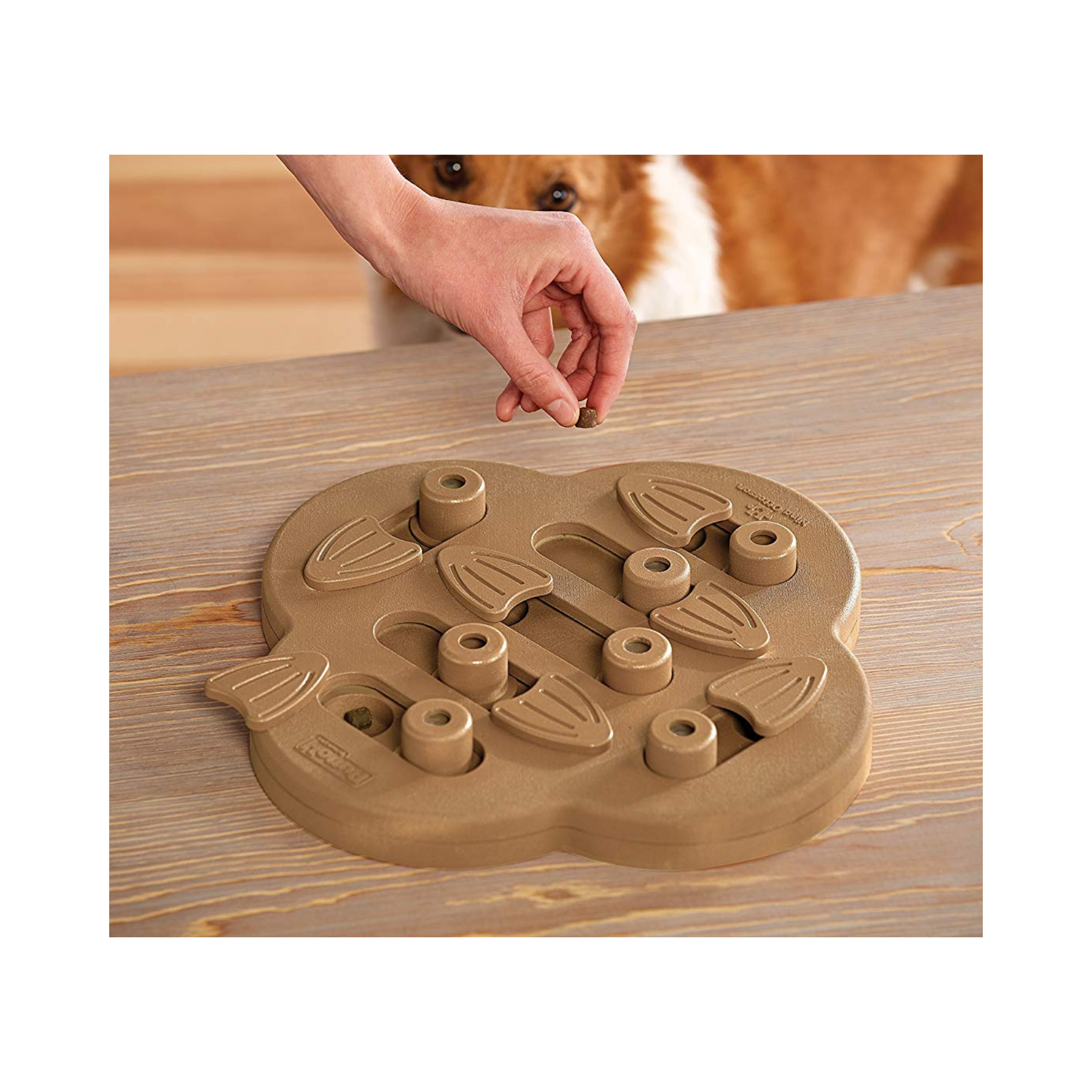 Nina Ottosson Dog Hide 'n Slide Composite for Dogs