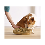 Nina Ottosson Dog Hide 'n Slide Composite for Dogs