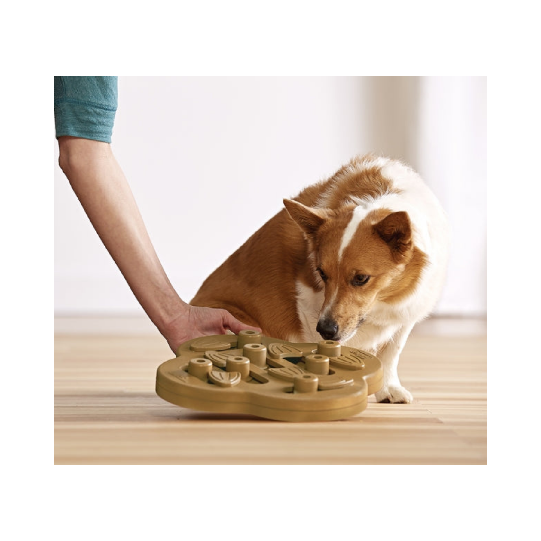 Nina Ottosson Dog Hide 'n Slide Composite for Dogs