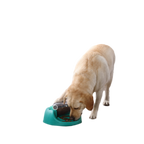 Nina Ottosson Spin n' Eat Puzzle for Dog Enrichment