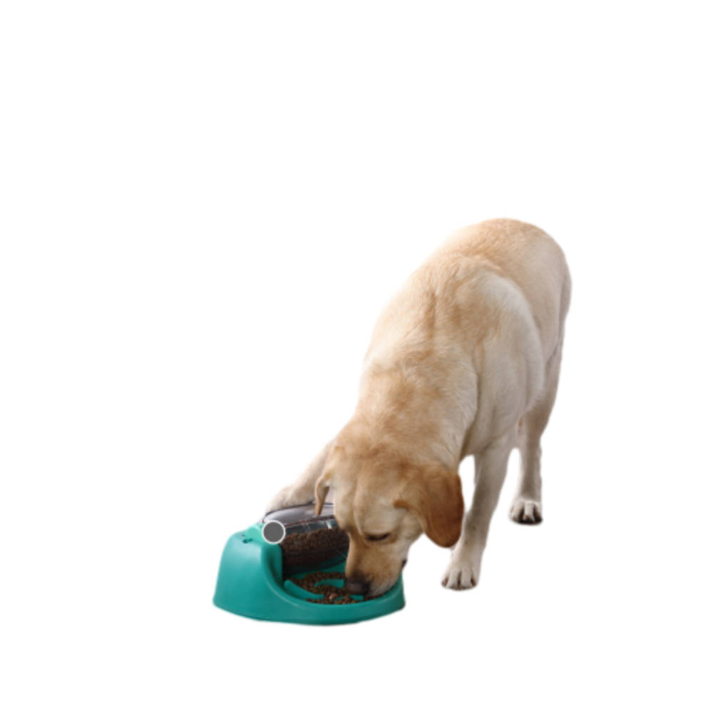 Nina Ottosson Spin n' Eat Puzzle for Dog Enrichment