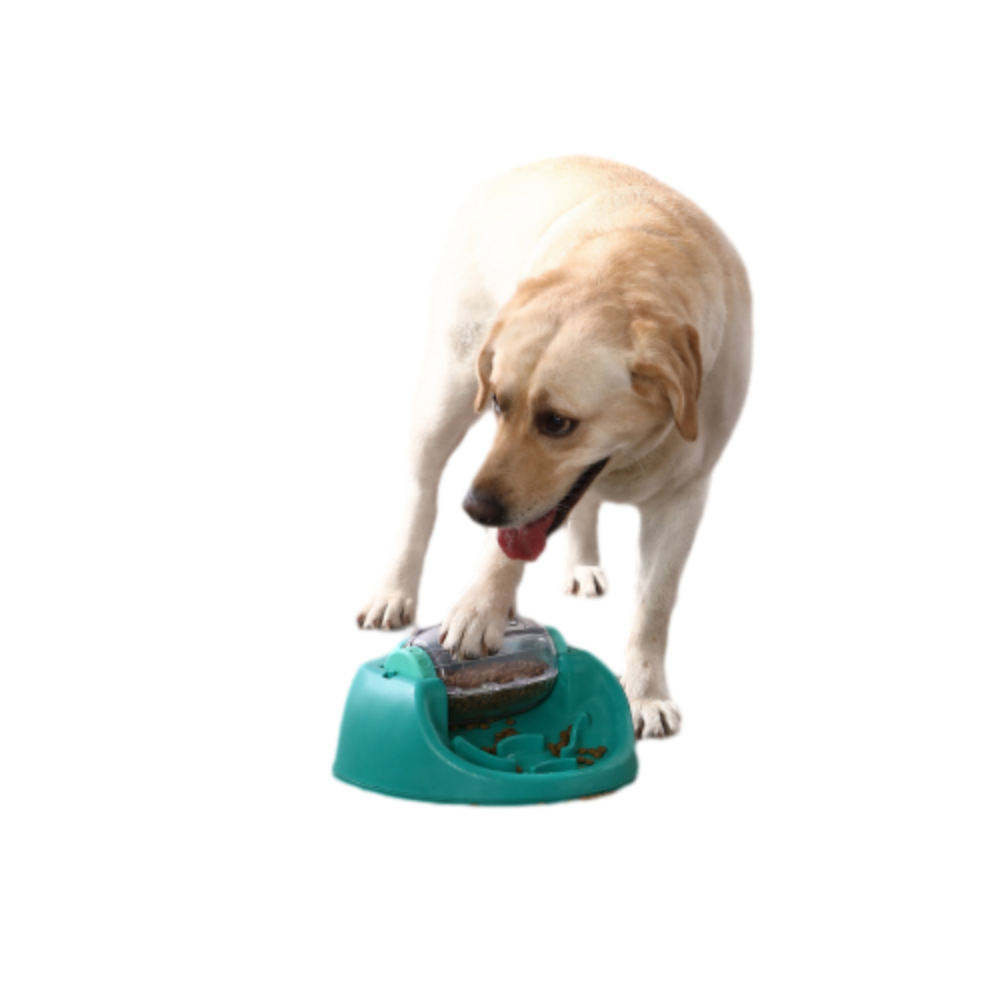 Nina Ottosson Spin n' Eat Puzzle for Dog Enrichment