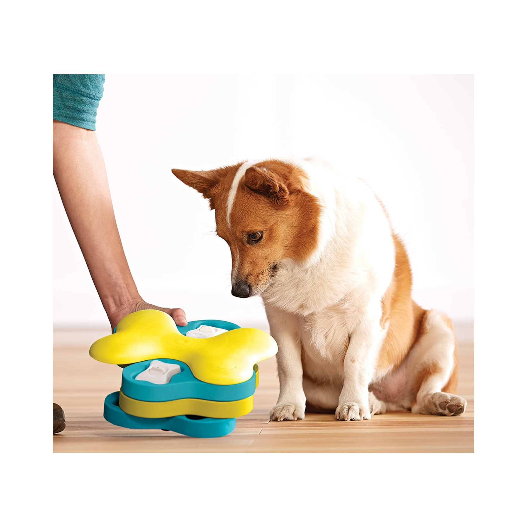 Nina Ottosson Dog Tornado for Dogs