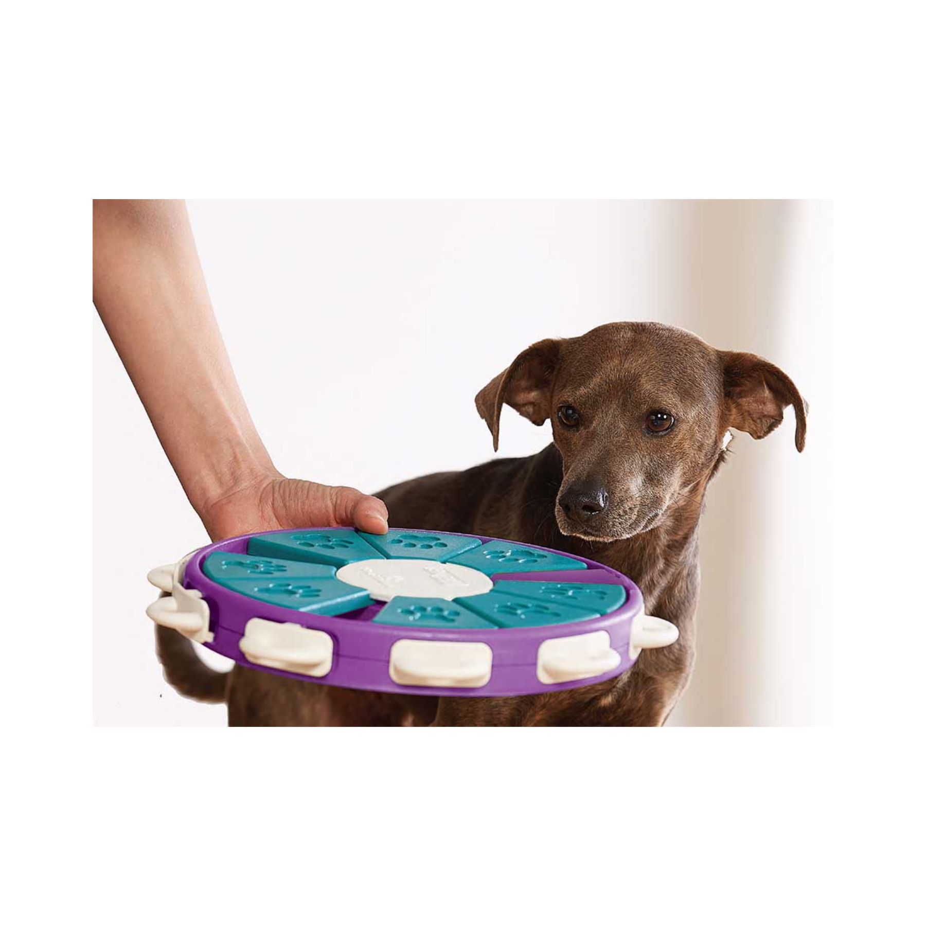 Nina Ottosson Dog Twister Puzzle for Dog Enrichment