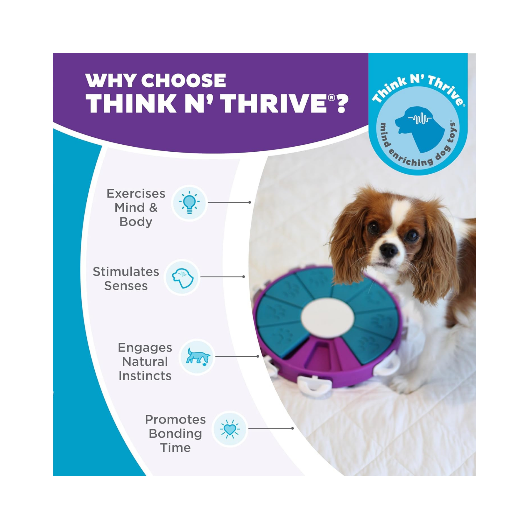 Nina Ottosson Dog Twister Puzzle for Dog Enrichment