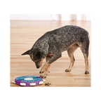 Nina Ottosson Dog Twister Puzzle for Dog Enrichment