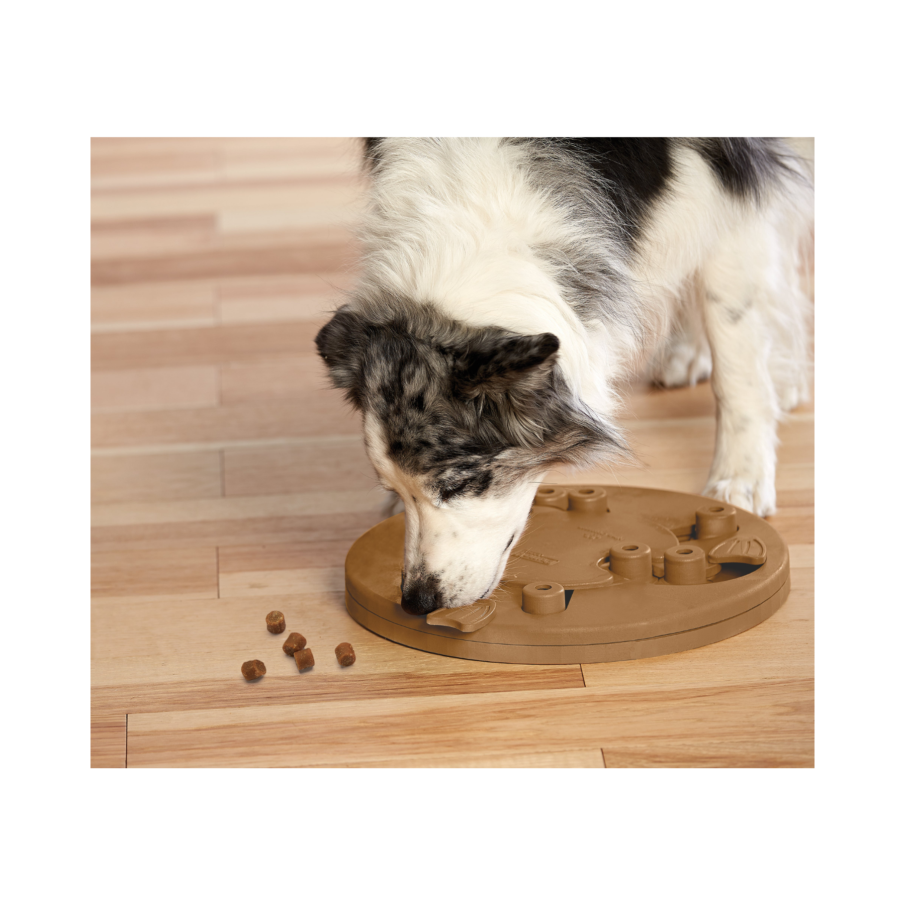 Nina Ottosson Dog Worker Composite for Dogs