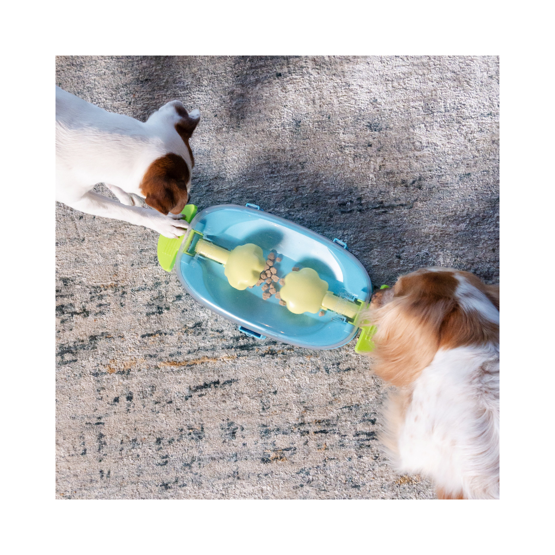 Nina Ottosson Paw 'n Play for Dogs