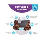 Nina Ottosson Paw 'n Play for Dogs