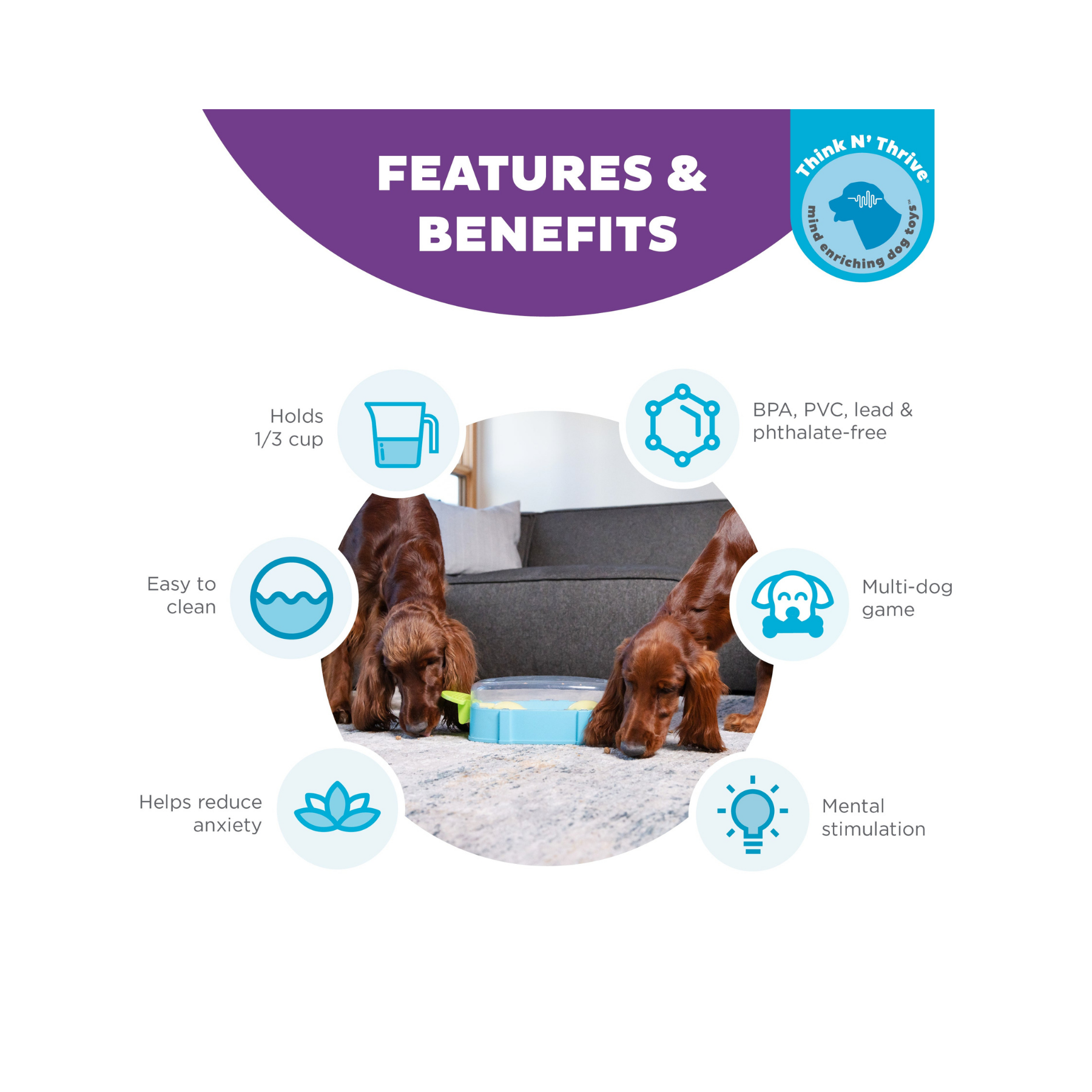 Nina Ottosson Paw 'n Play for Dogs
