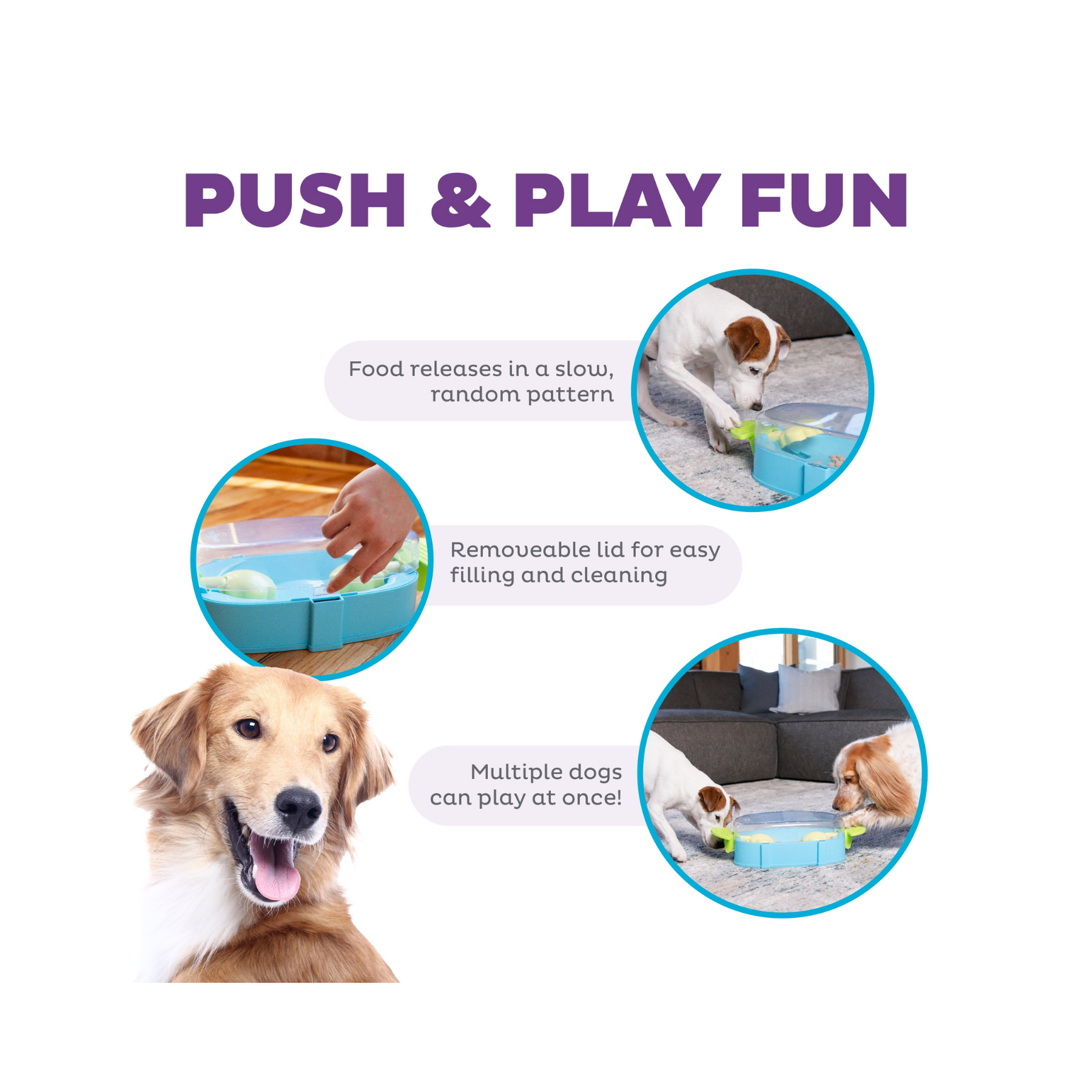 Nina Ottosson Paw 'n Play for Dogs