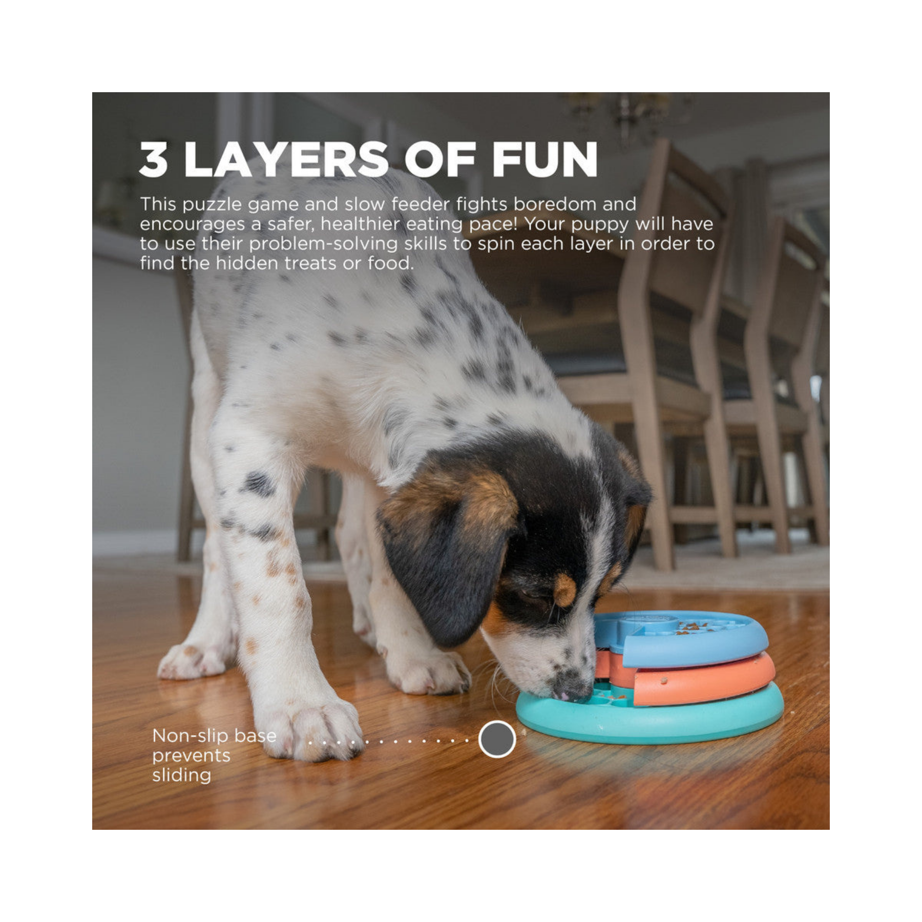 Nina Ottosson Puppy Lickin' Layers for Dogs