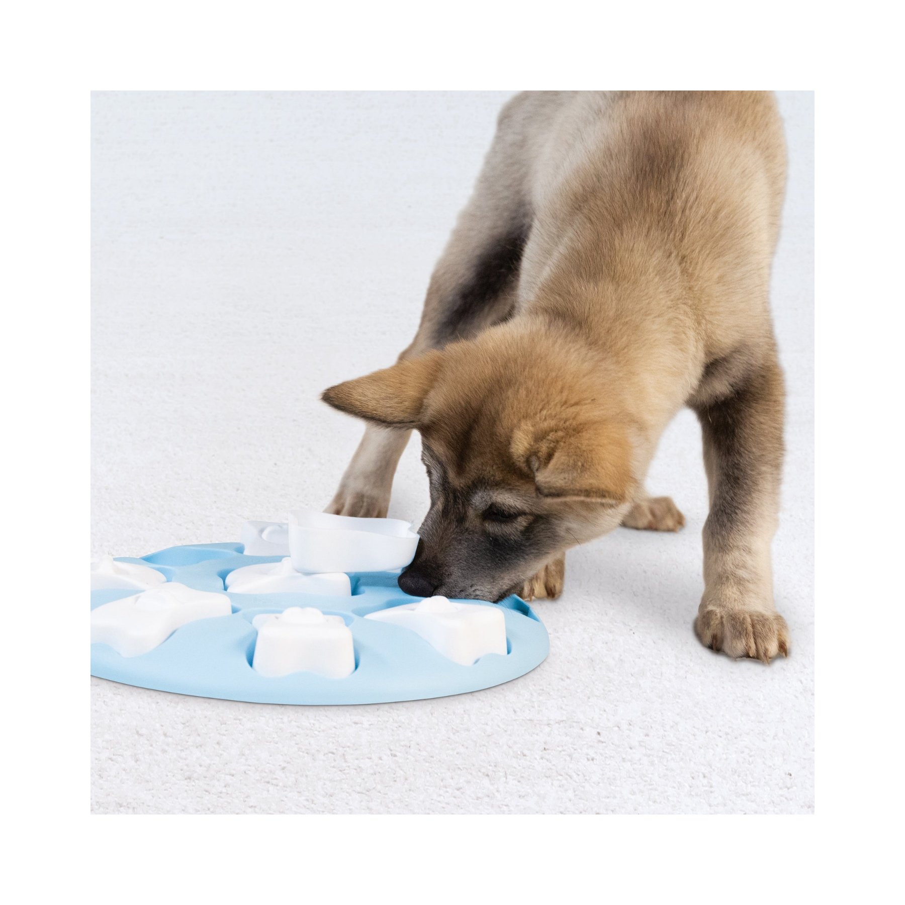 Nina Ottosson Puppy Smart Blue for Dogs