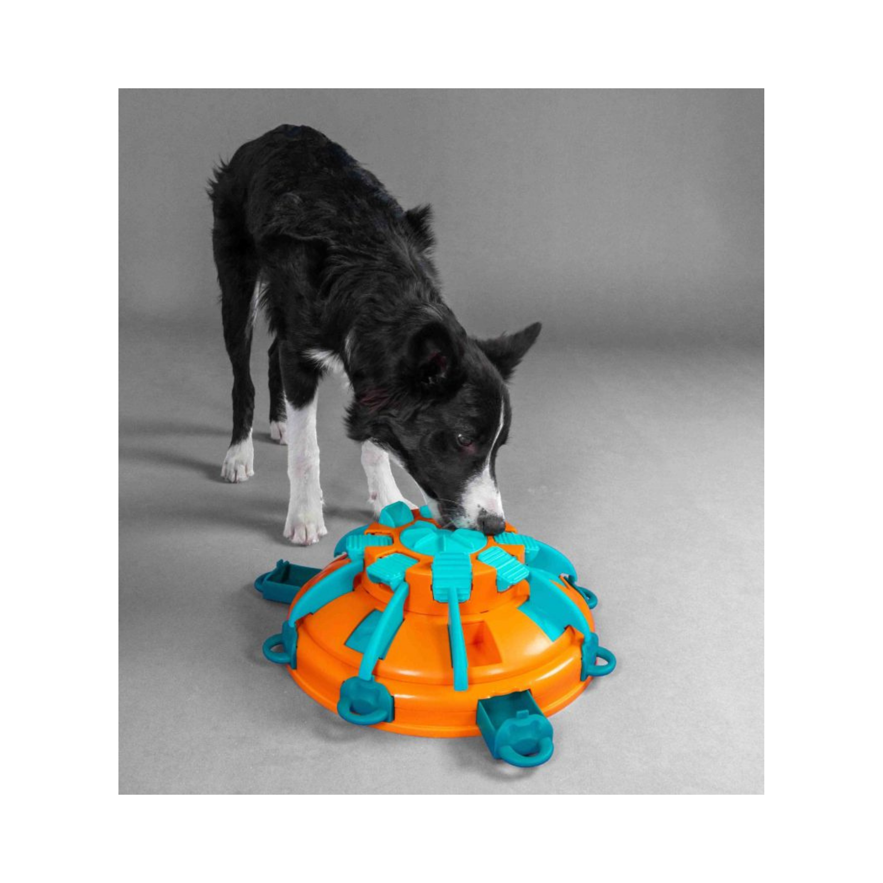 Nina Ottosson Tower of Treats for Dog Enrichment