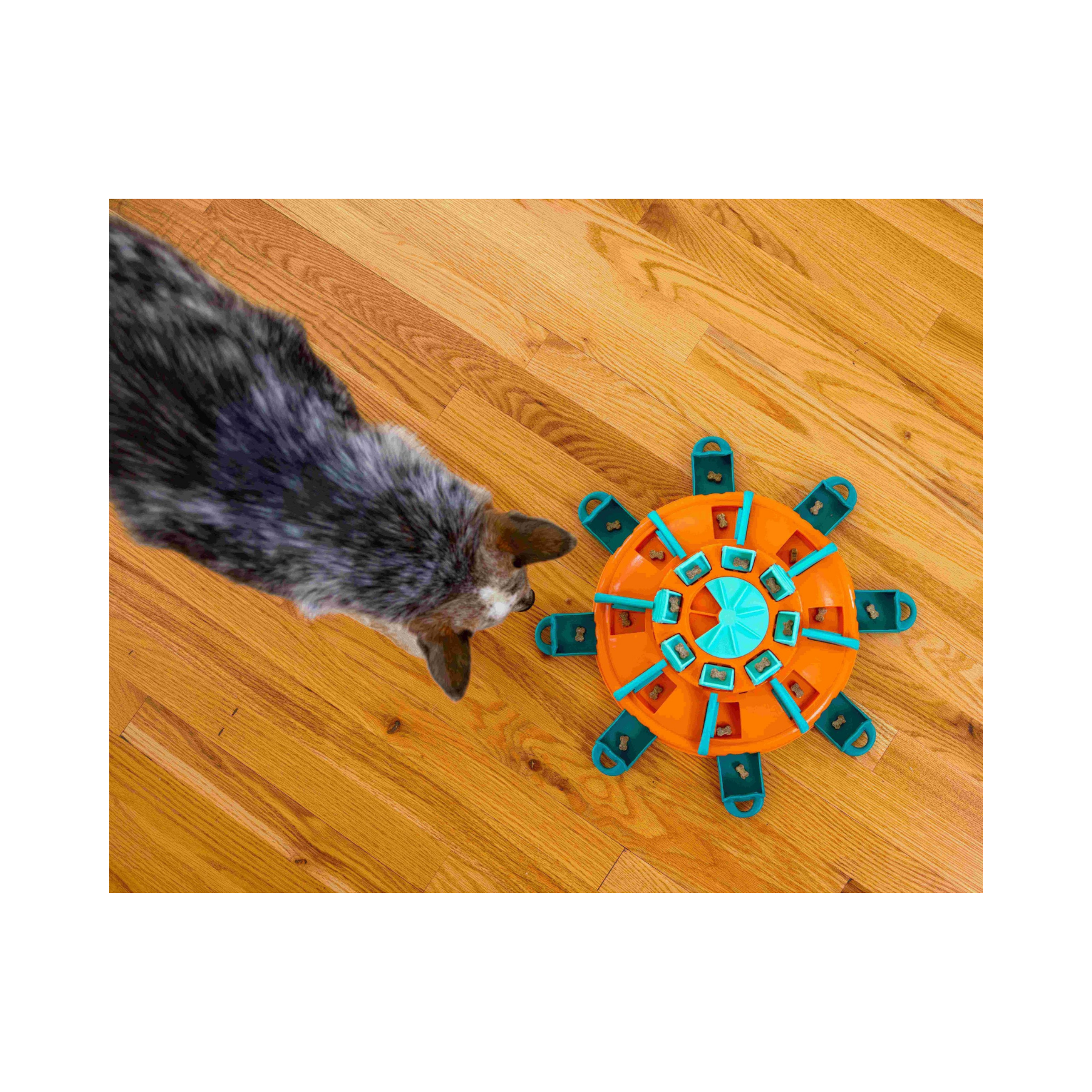 Nina Ottosson Tower of Treats for Dog Enrichment