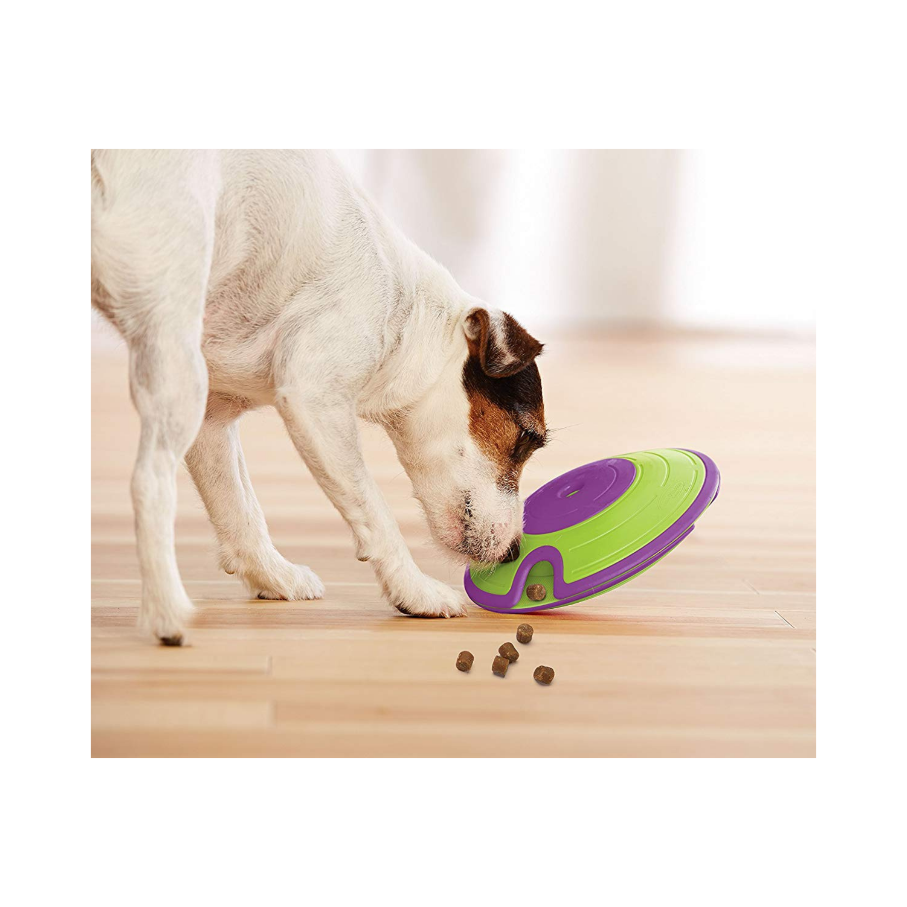 Nina Ottosson Treat Maze Green for Dog Enrichment