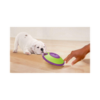 Nina Ottosson Treat Maze Green for Dog Enrichment