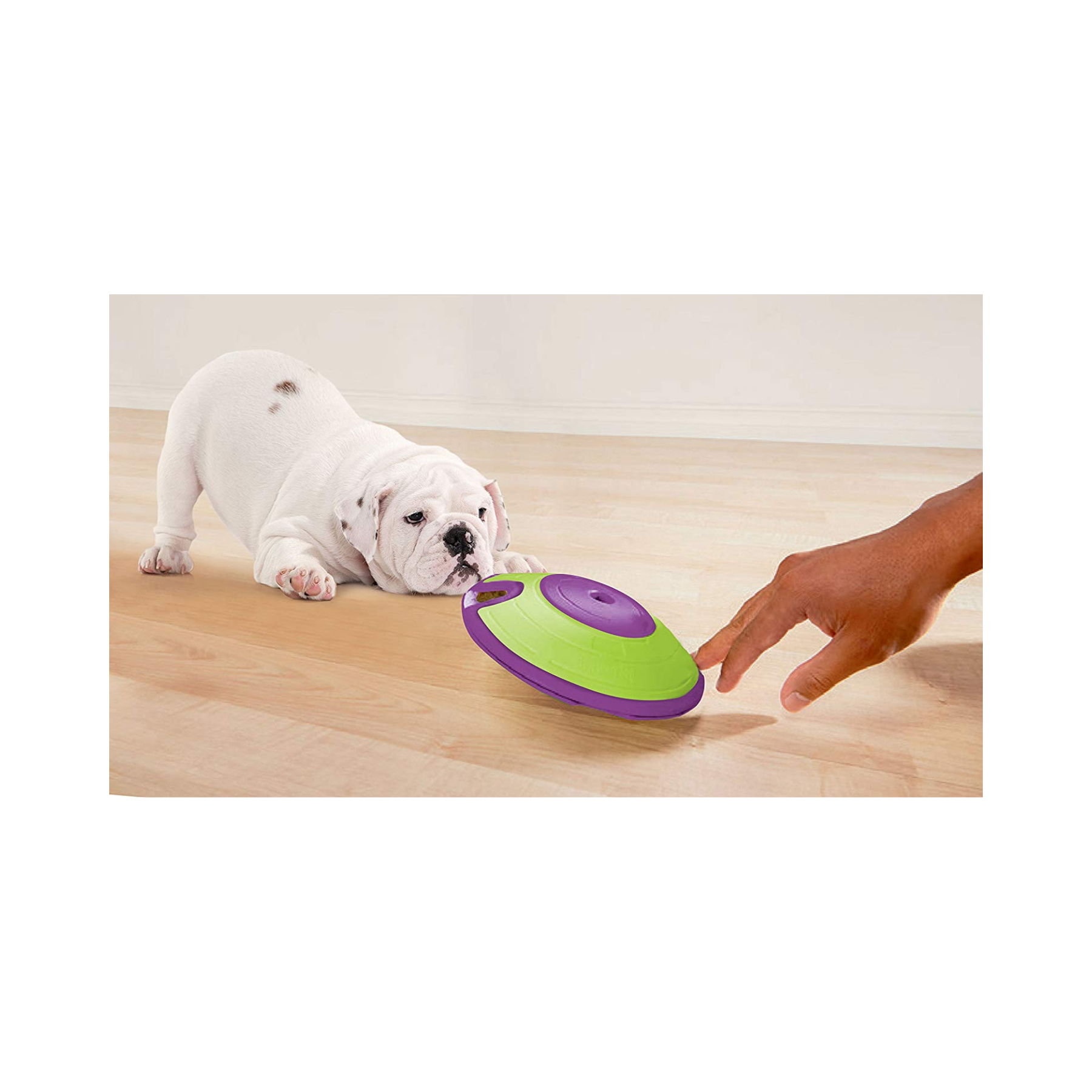 Nina Ottosson Treat Maze Green for Dog Enrichment