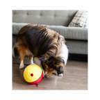 Nina Ottosson Treat Tumble Large for Dog Enrichment