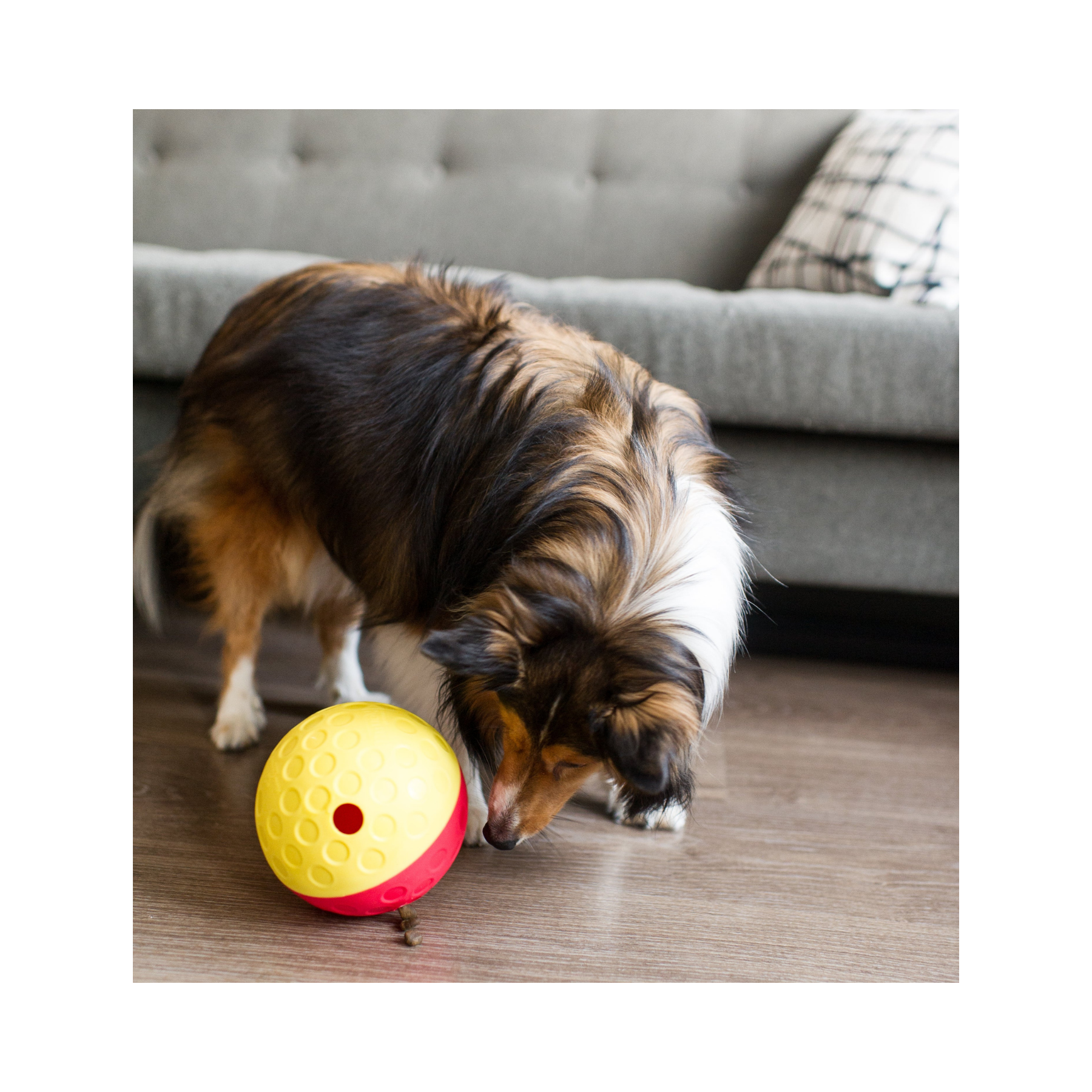 Nina Ottosson Treat Tumble Large for Dog Enrichment