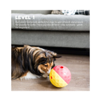 Nina Ottosson Treat Tumble Large for Dog Enrichment