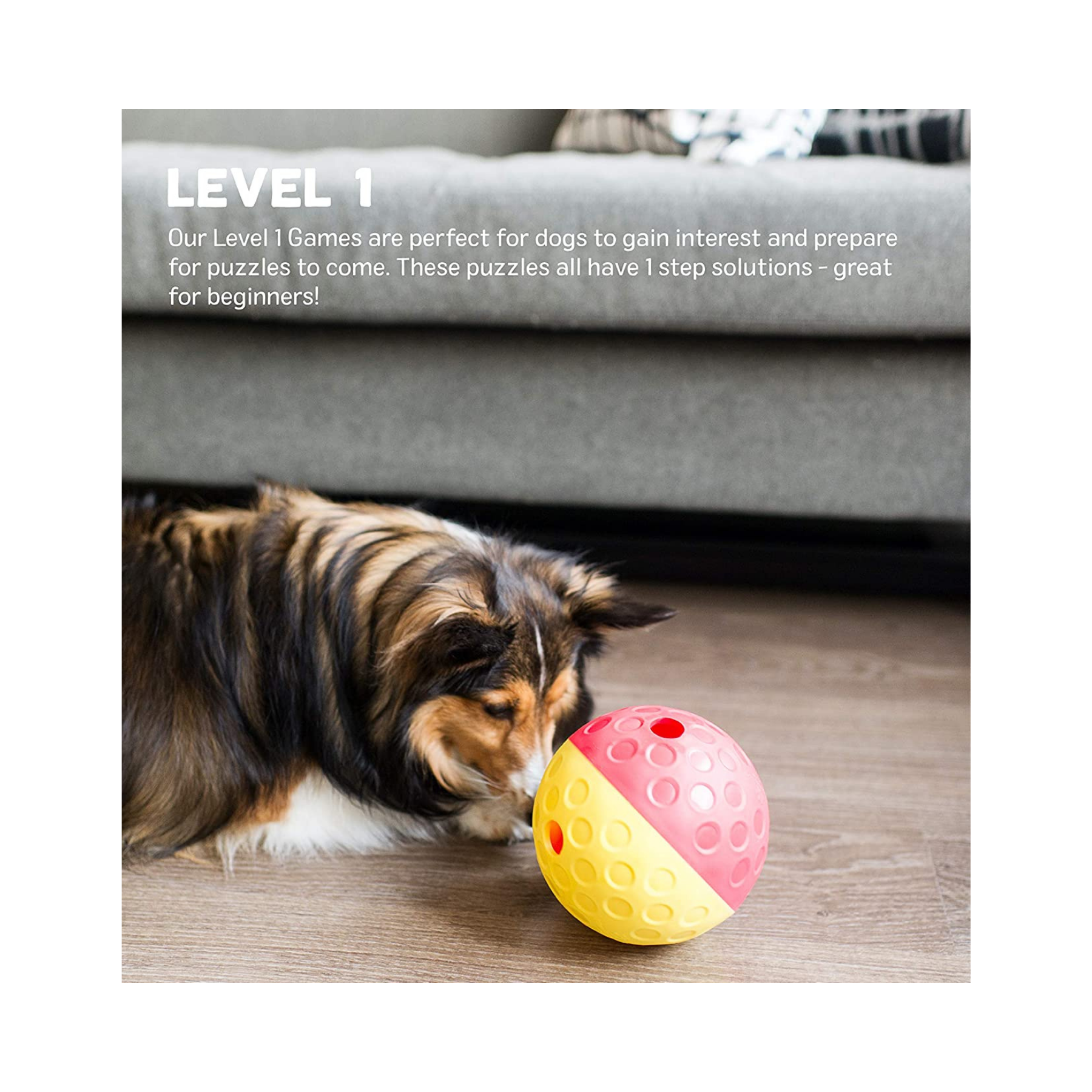 Nina Ottosson Treat Tumble Large for Dog Enrichment