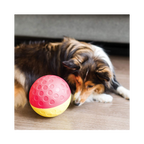 Nina Ottosson Treat Tumble Large for Dog Enrichment