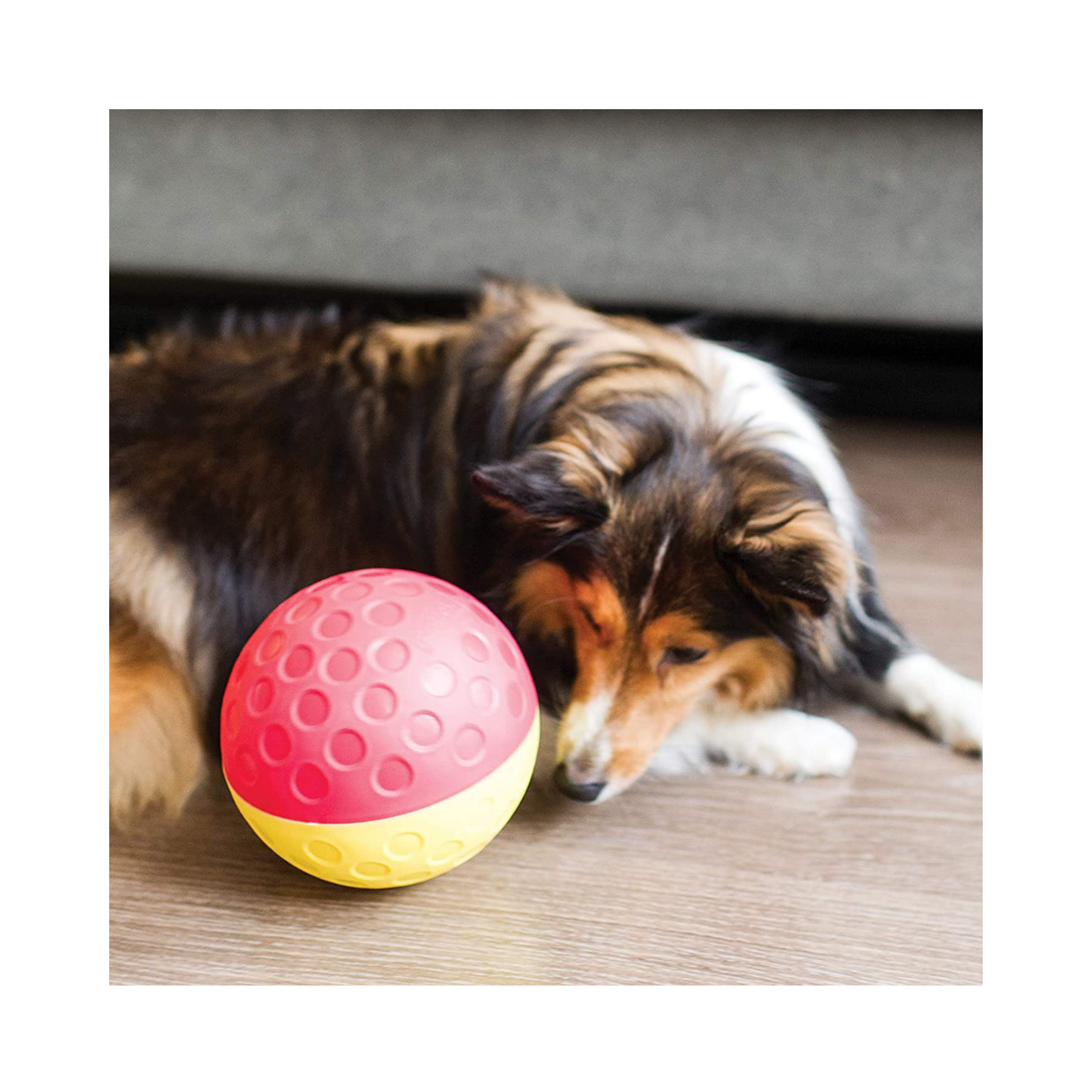 Nina Ottosson Treat Tumble Large for Dog Enrichment