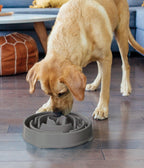 Outward Hound Fun Feeder Grey - Slow Feeder Dog Bowl for Fast Eaters