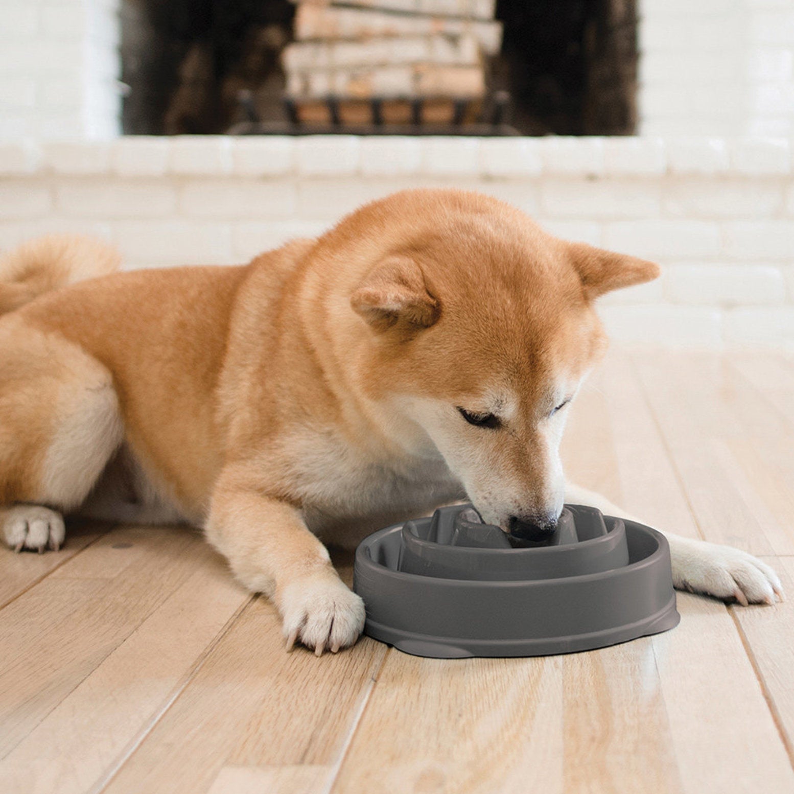 Outward Hound Fun Feeder Grey - Slow Feeder Dog Bowl for Fast Eaters