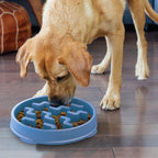 Outward Hound Fun Feeder Notch Blue - Slow Feeder Dog Bowl for Fast Eaters