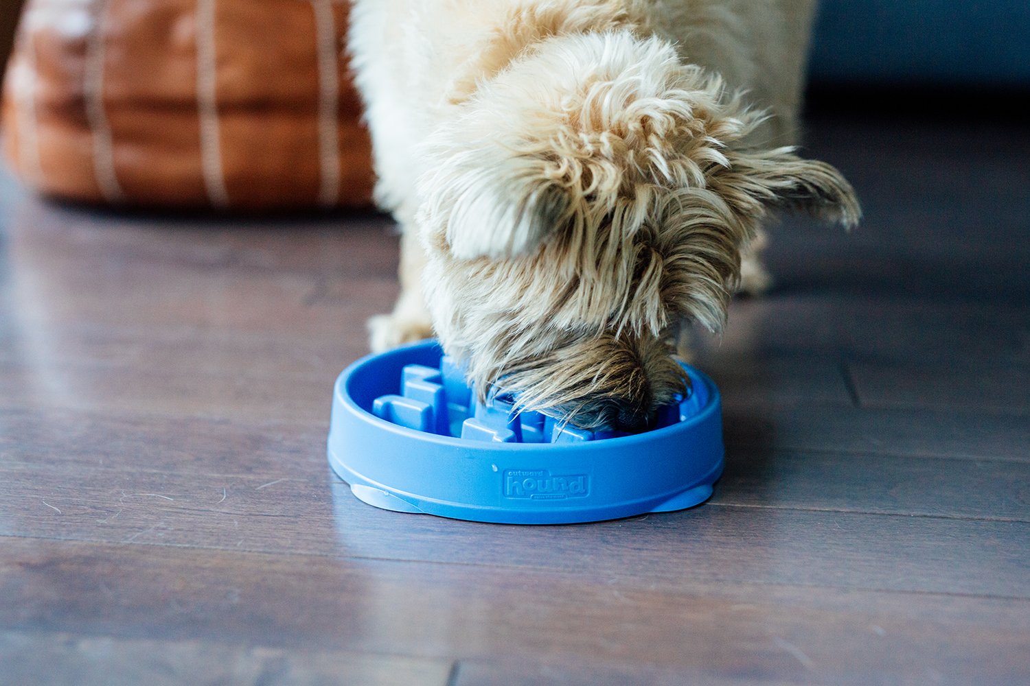 Outward Hound Fun Feeder Notch Blue - Slow Feeder Dog Bowl for Fast Eaters