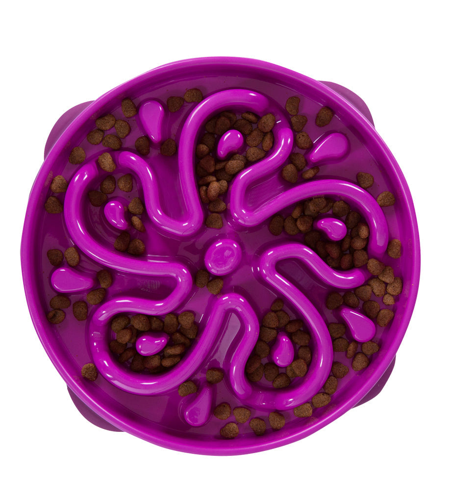 Outward Hound Fun Feeder Purple - Slow Feeder Dog Bowl for Fast Eaters