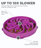 Outward Hound Fun Feeder Purple - Slow Feeder Dog Bowl for Fast Eaters