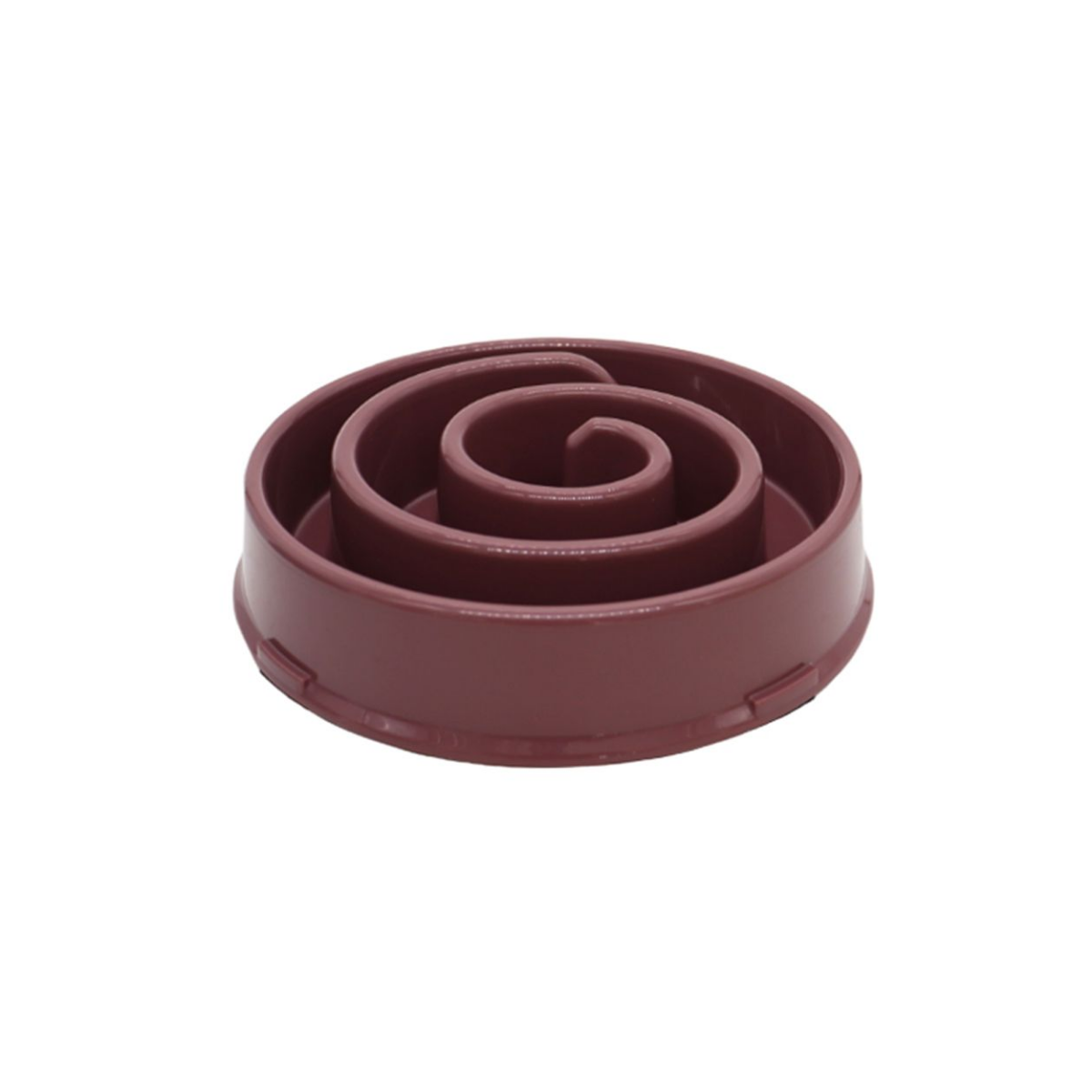 Slow Feeder Dog Bowl for Fast Eaters