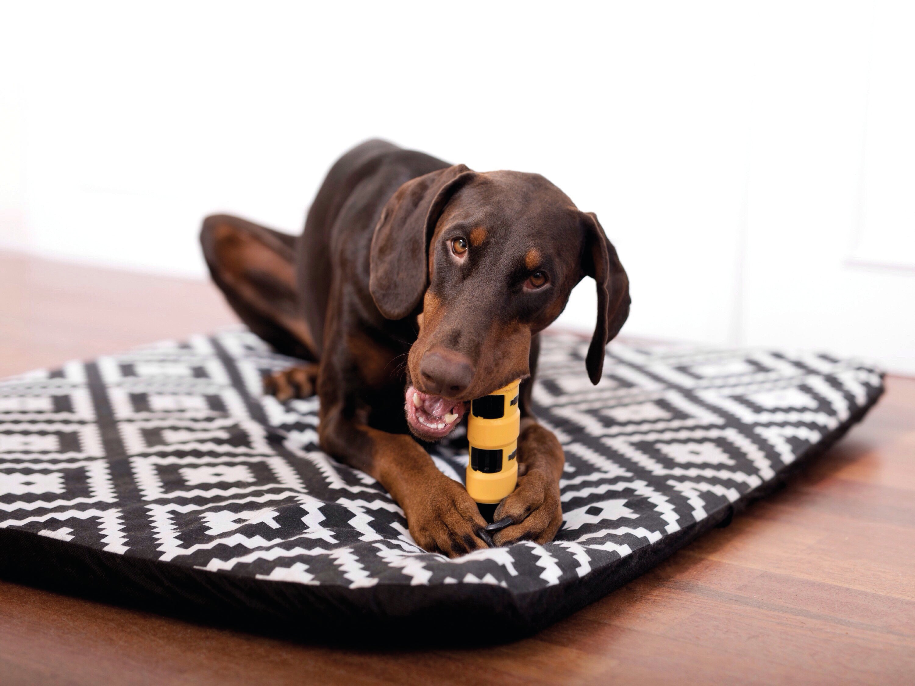 Rebound Baton