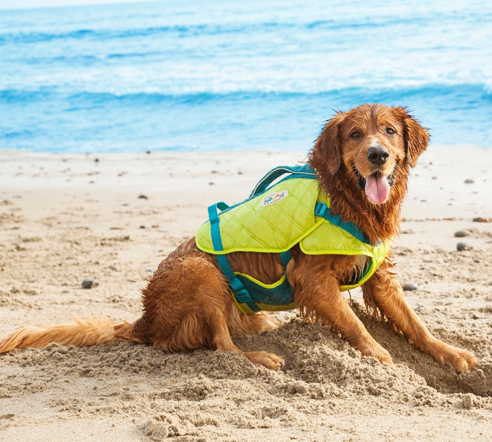 Dog Life Jacket