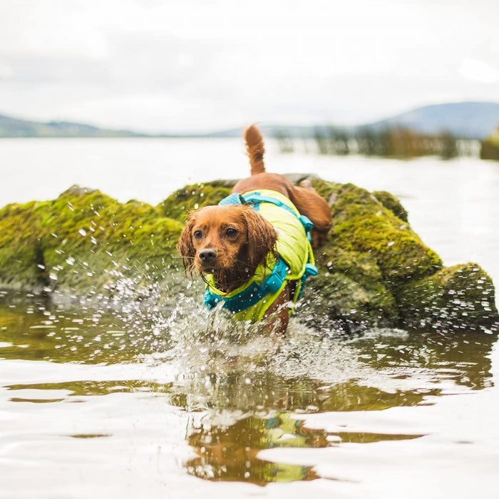 Dog Life Jacket