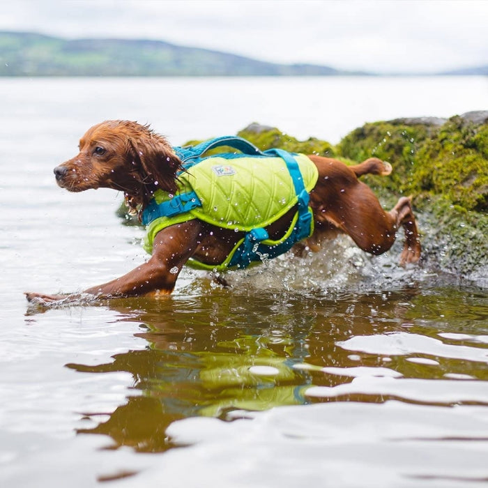 Dog Life Jacket